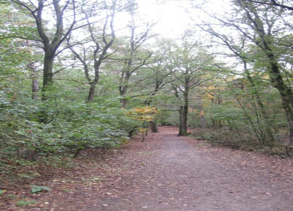 Bungalow | View from property
