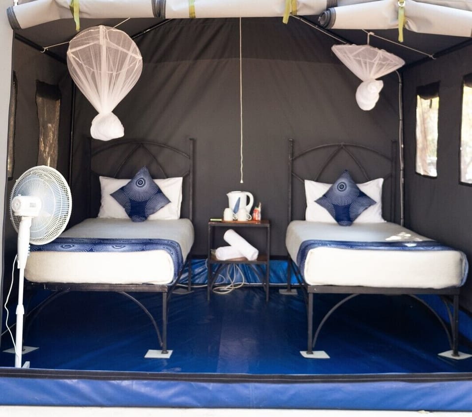 Basic Tent