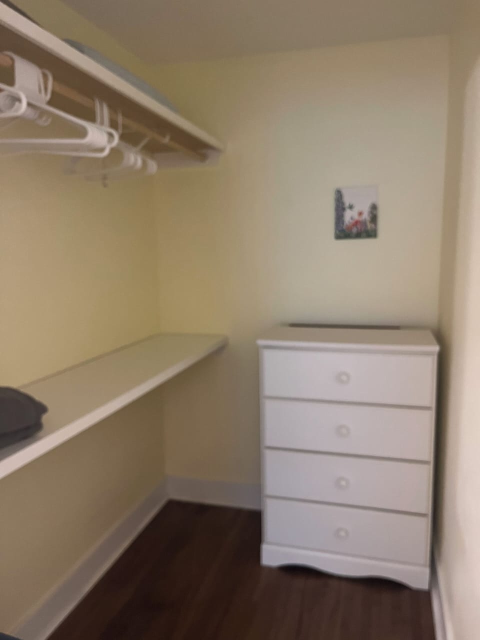Master bedroom closet 