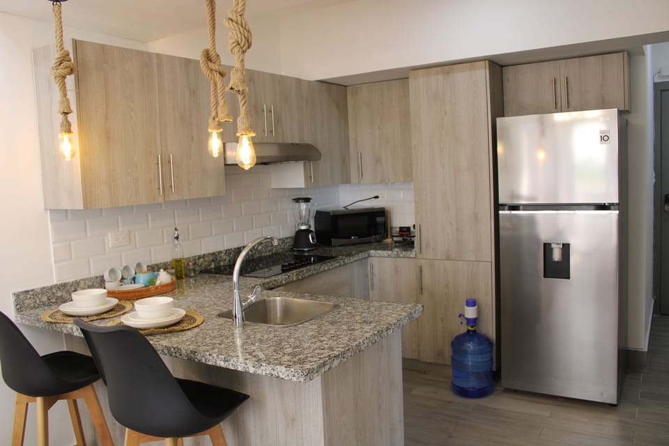 Deluxe Apartment | Private kitchen | Full-size fridge, microwave, oven, dishwasher