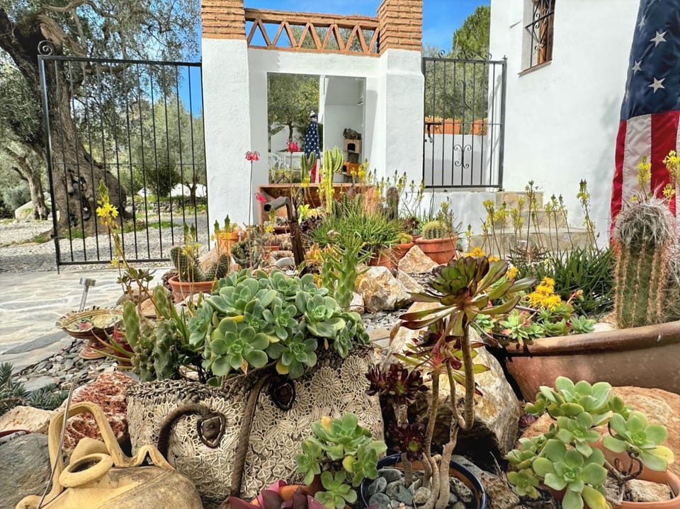 House | Garden