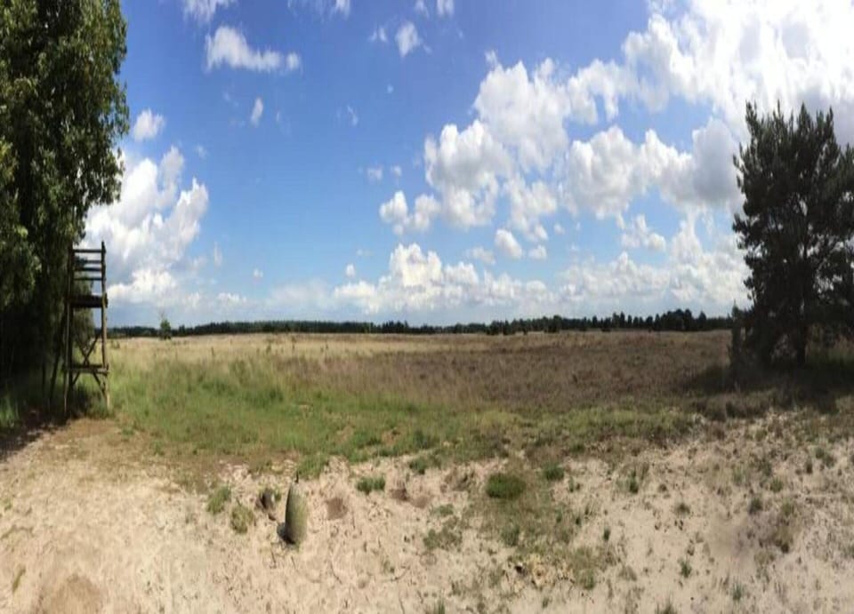 Chalet | View from property