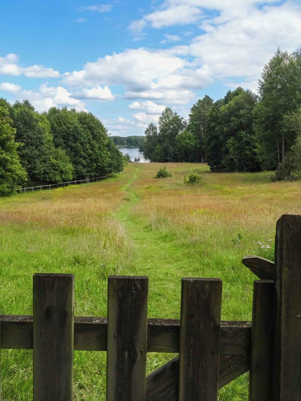 View from property