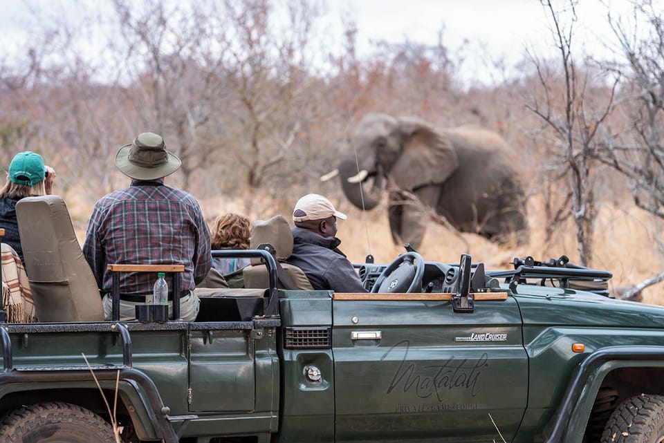 Game drive