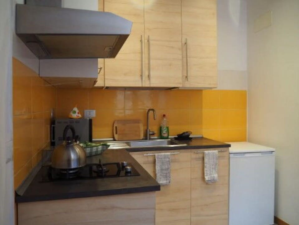 Delightful equipped kitchen of the apartment for rent in Rome.