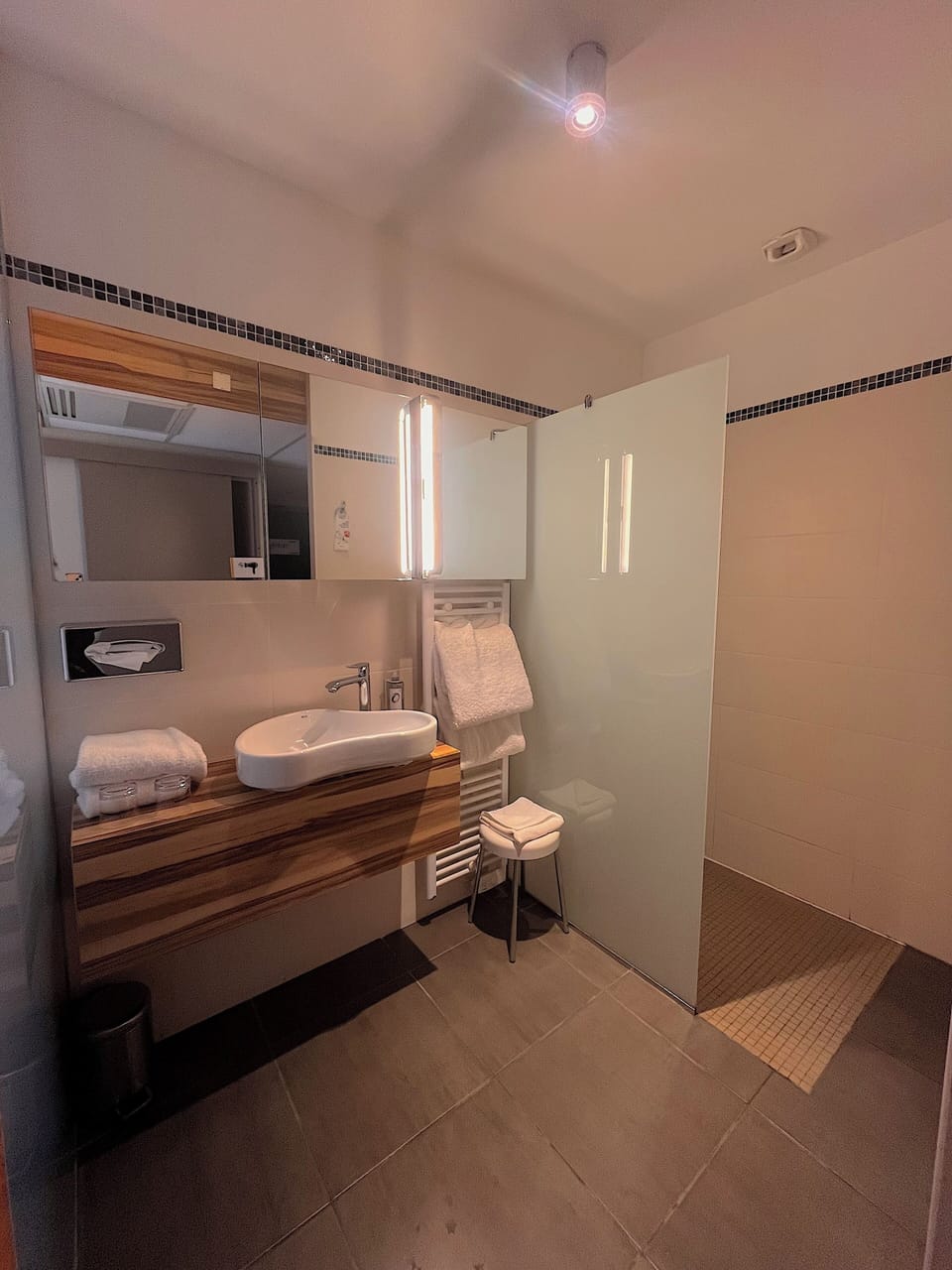 Privilege Double Room | Bathroom | Hair dryer, towels, soap, shampoo