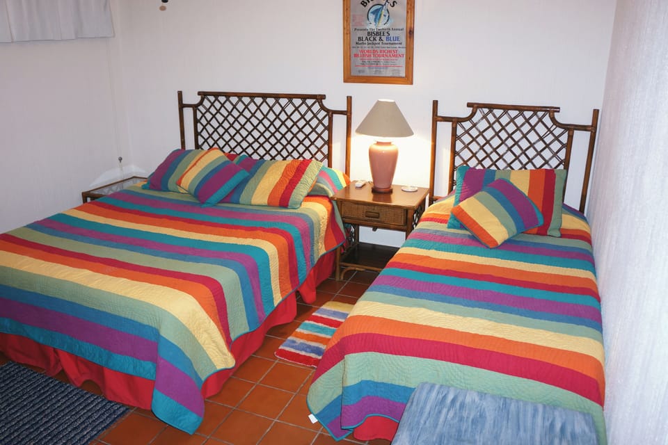 Second Bedroom (Queen and Twin)