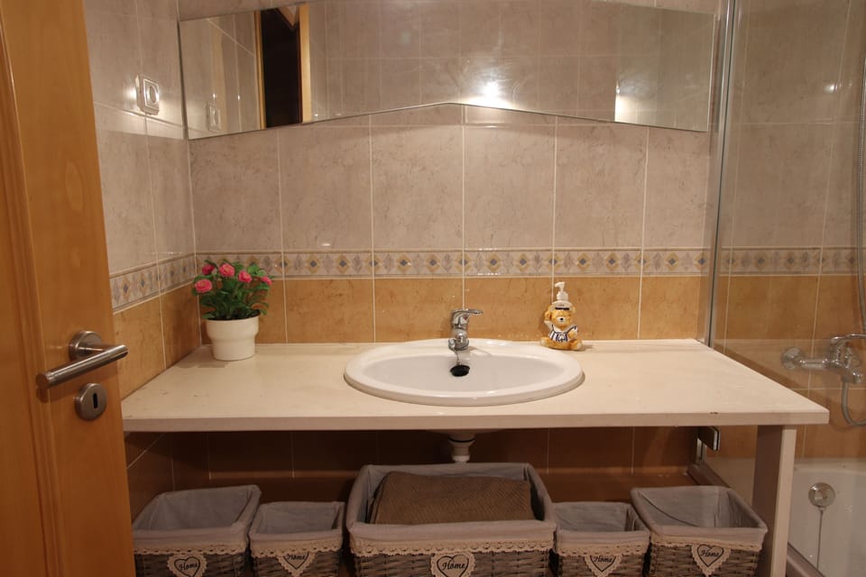 Hair dryer, bidet, towels
