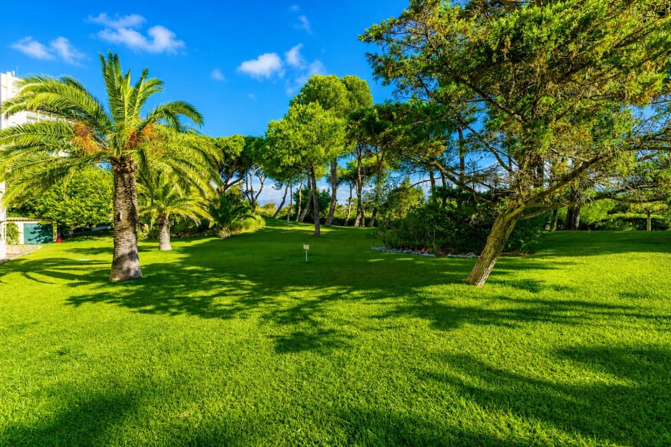 Family Apartment, 1 Bedroom, 2 Bathrooms (Marbella Este Next Marriott and Nikki) | Property grounds