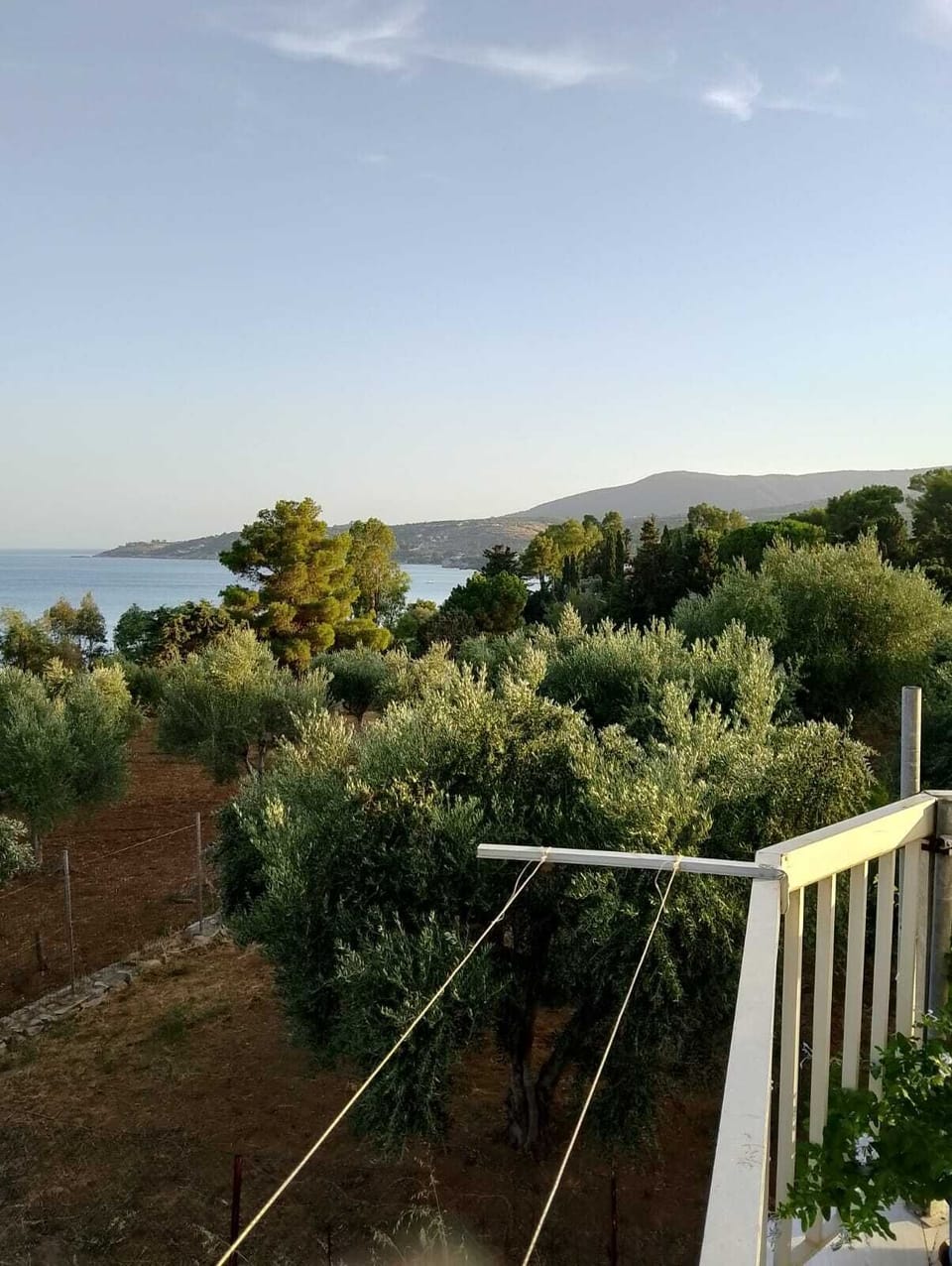 View from property