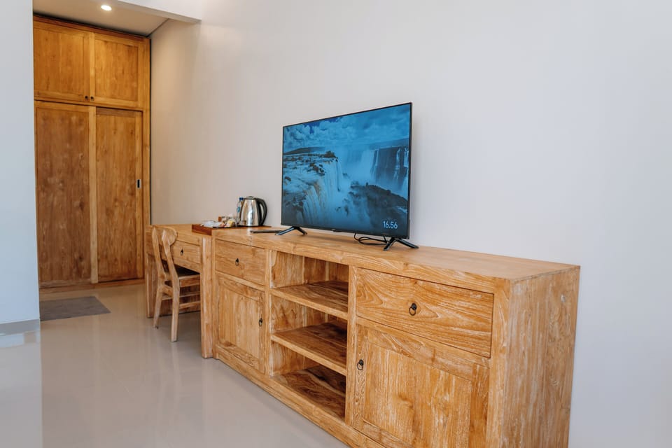 Television