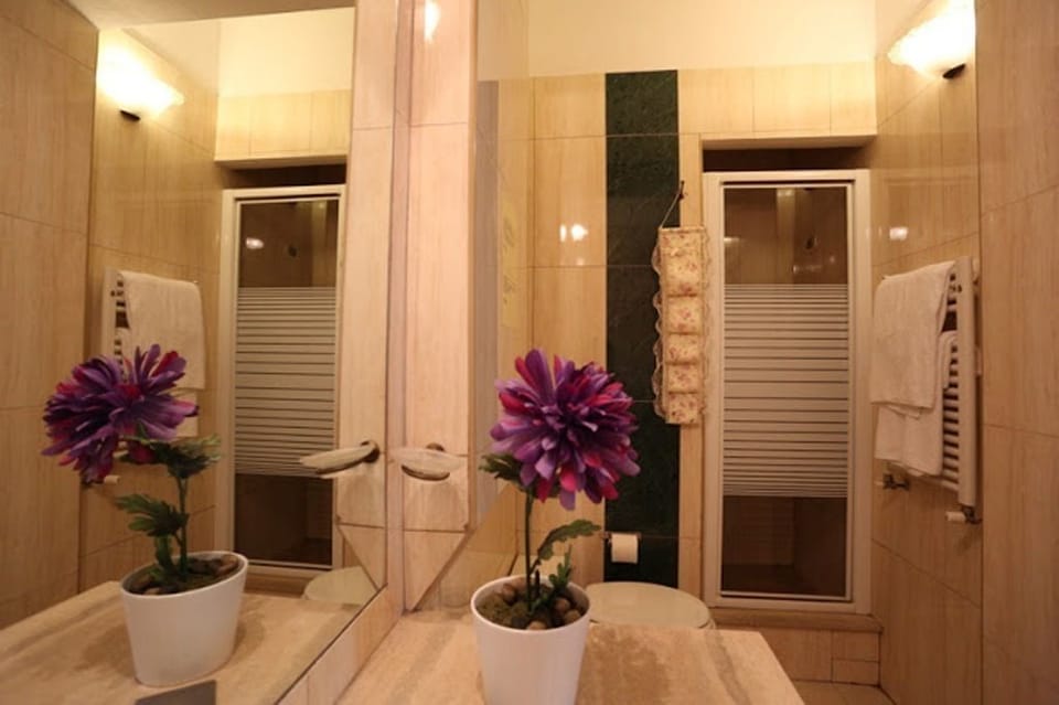 Rainfall showerhead, free toiletries, hair dryer, bidet