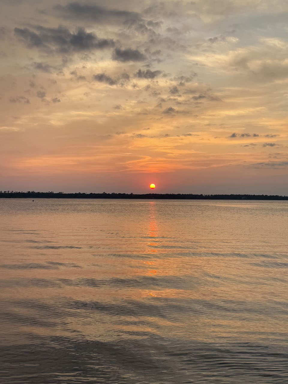 Kayaking available at Cape Fear River
