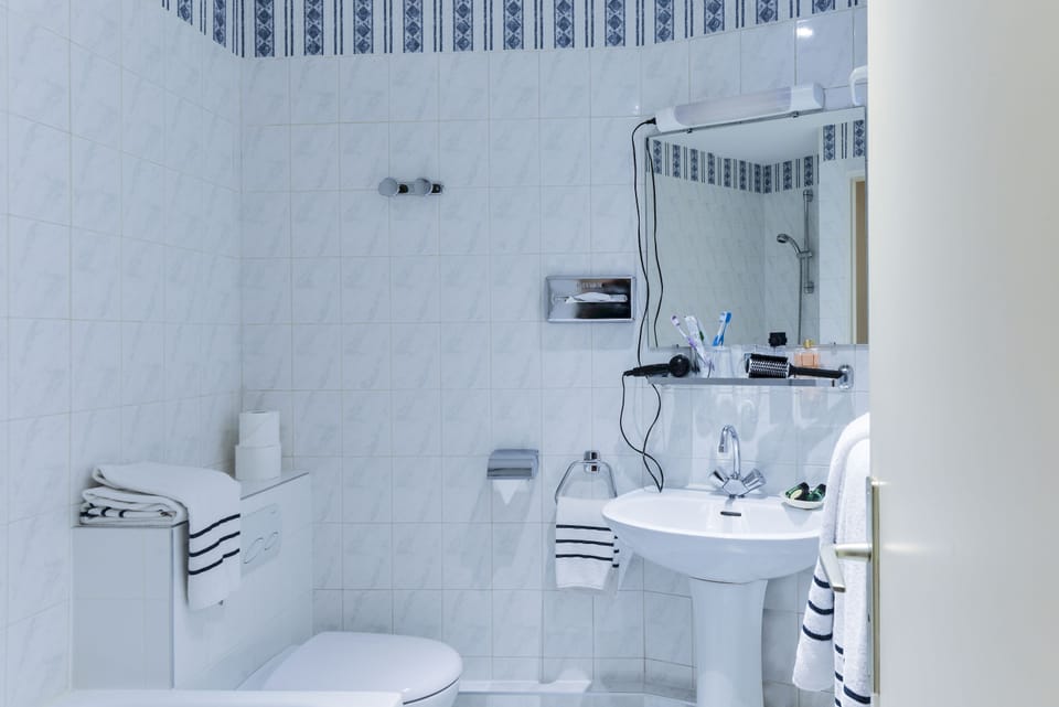 Triple Room, Non Smoking, Private Bathroom | Bathroom | Shower, free toiletries, hair dryer, towels