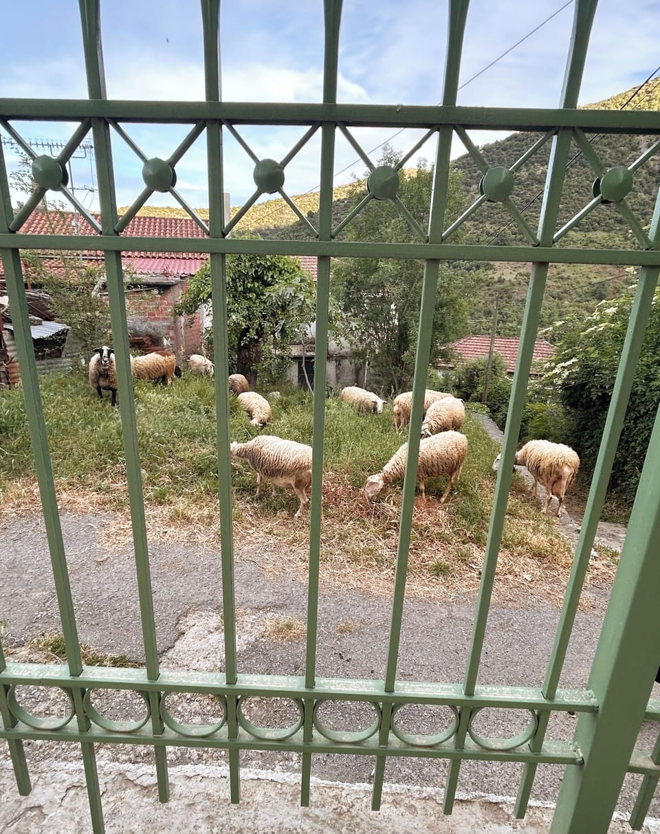 View from property