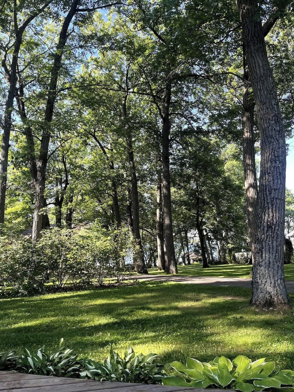 View of backyard and Green Lake