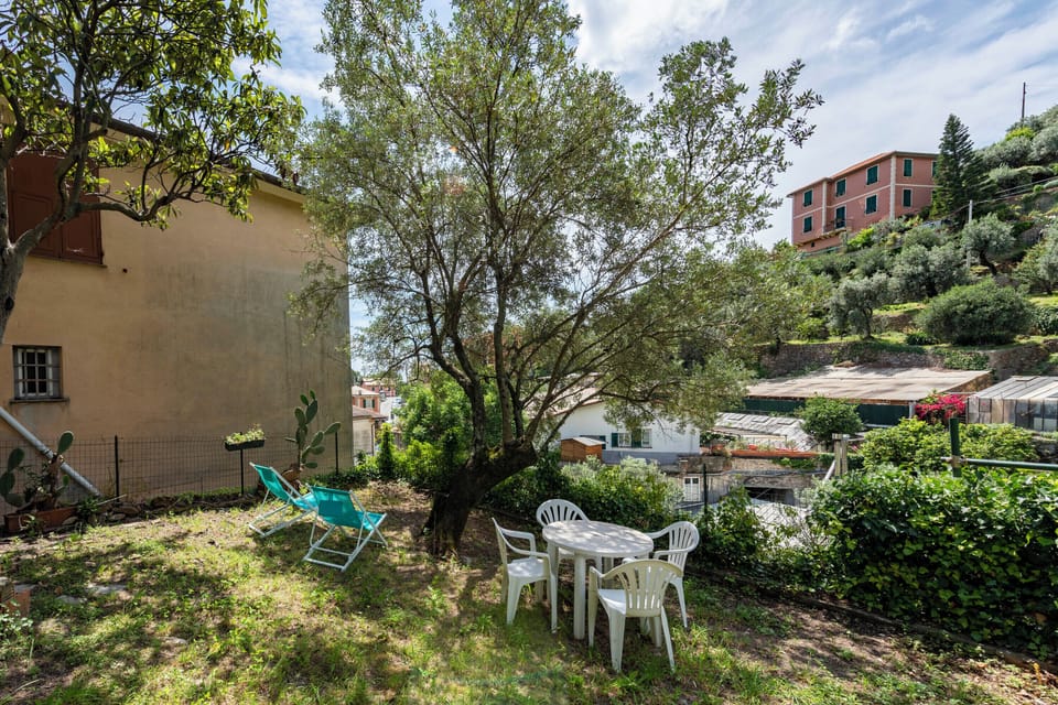 Shared Garden