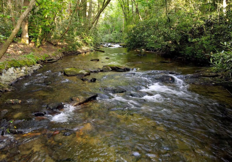 Creek front cabin rental with onsite fishing