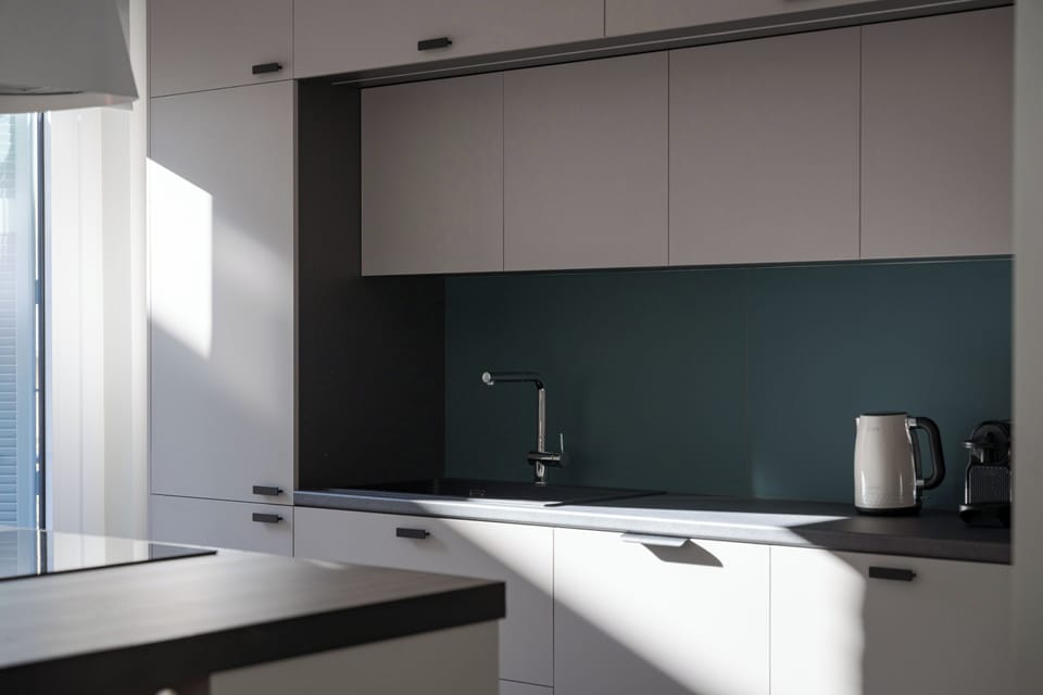 Apartment | Private kitchen | Toaster, blender, eco-friendly cleaning products, paper towels