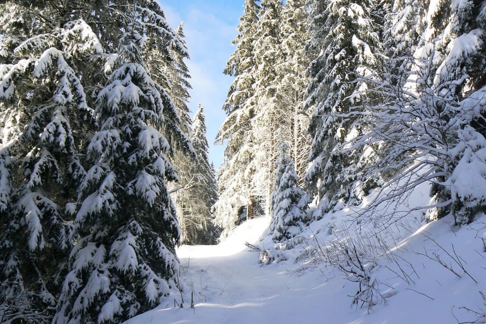 Snow and ski sports