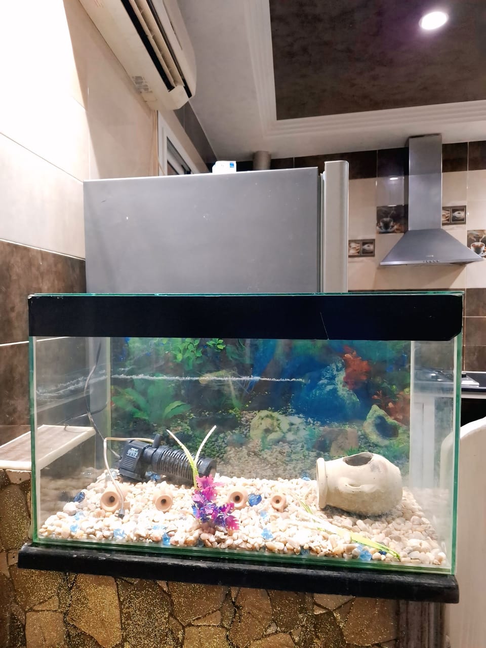 Comfort Apartment | Mini-refrigerator