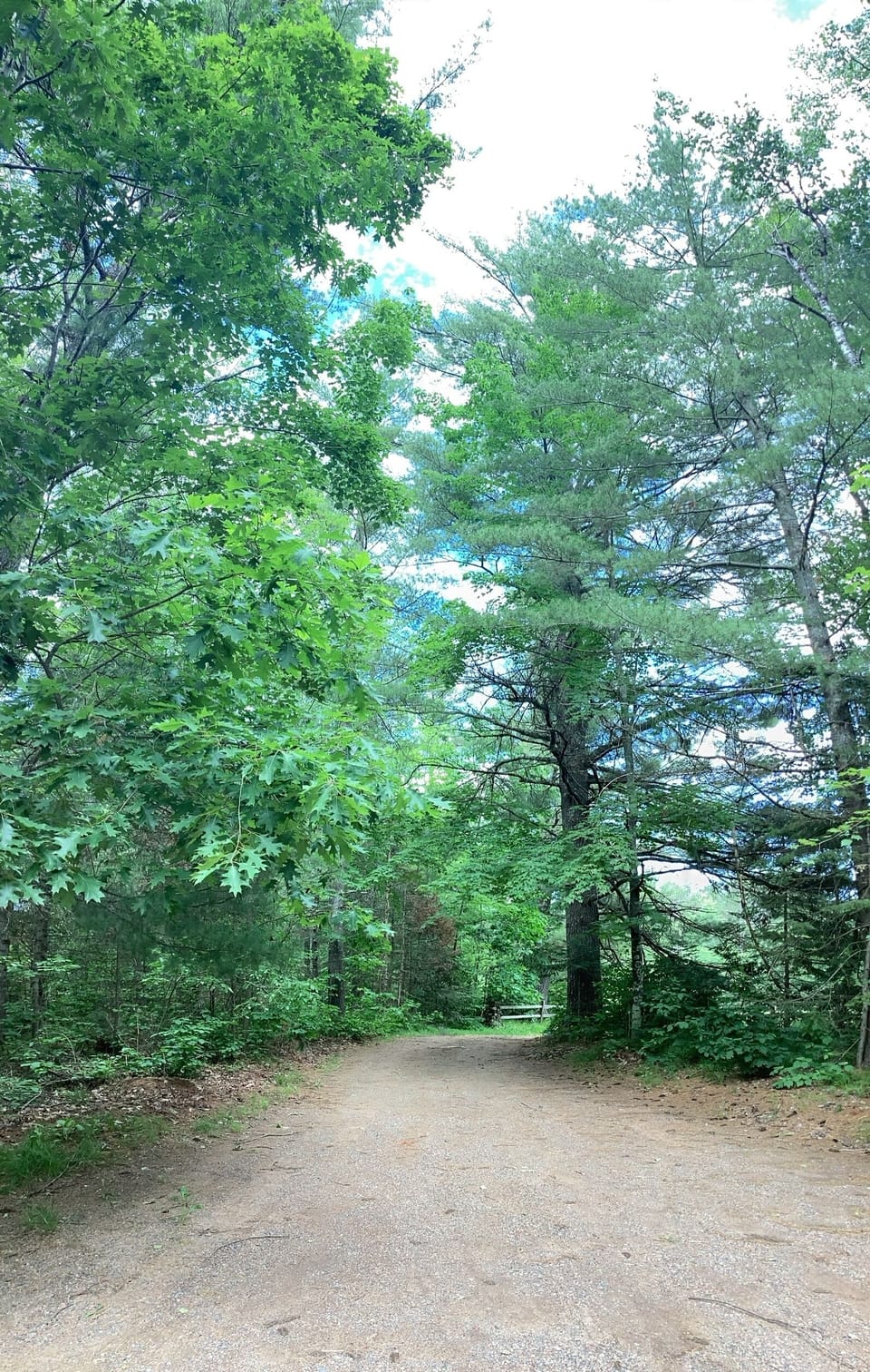 Drive looking toward the highway. 