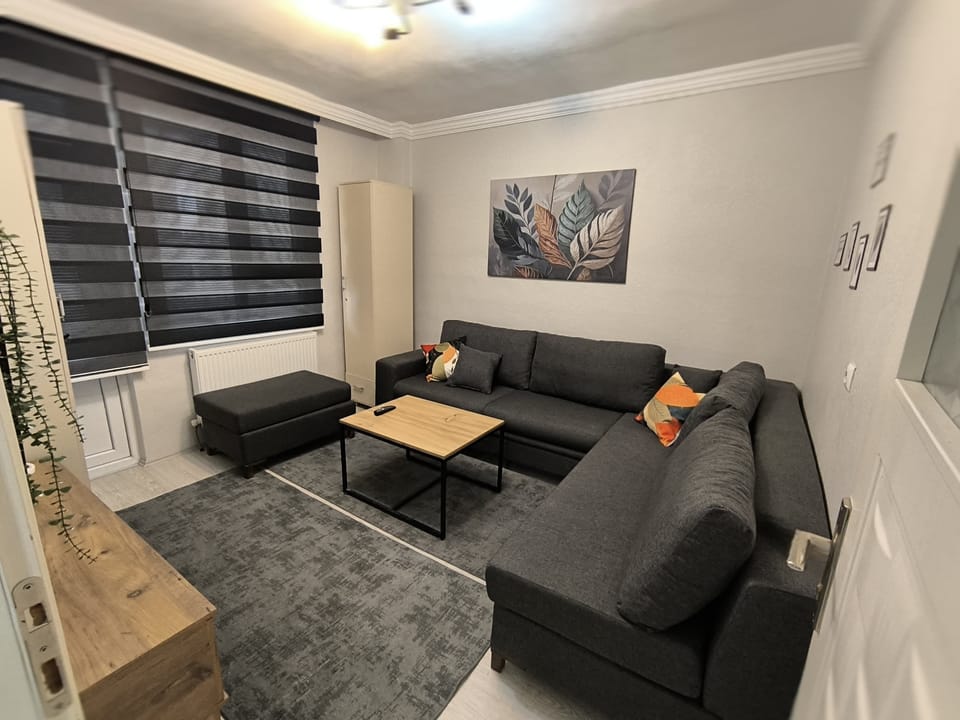 Deluxe Apartment, 1 Bedroom, Smoking, Balcony | Living area | TV