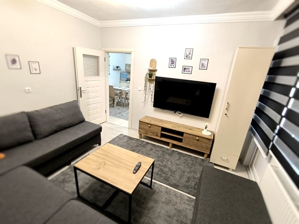 Deluxe Apartment, 1 Bedroom, Smoking, Balcony | Living area | TV