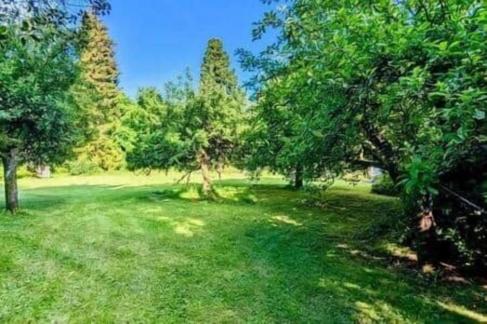 Ceeab0d1 65c7 4e48 b67b cba359242ee7