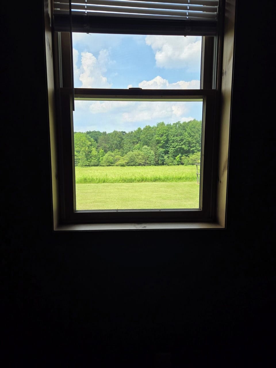 View from bedroom window