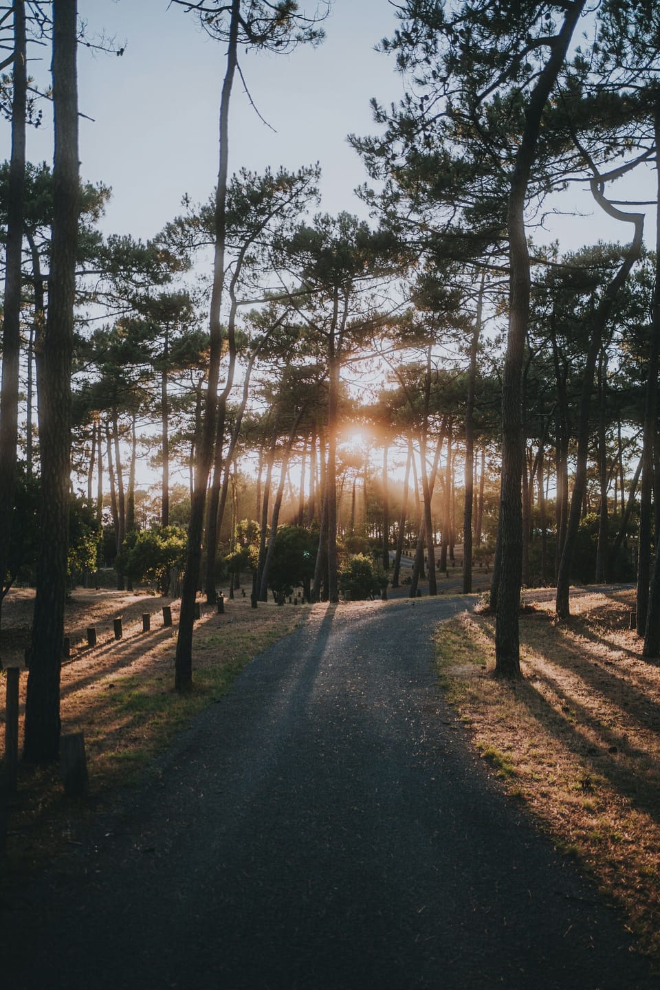 Peaceful walks in Lacanau