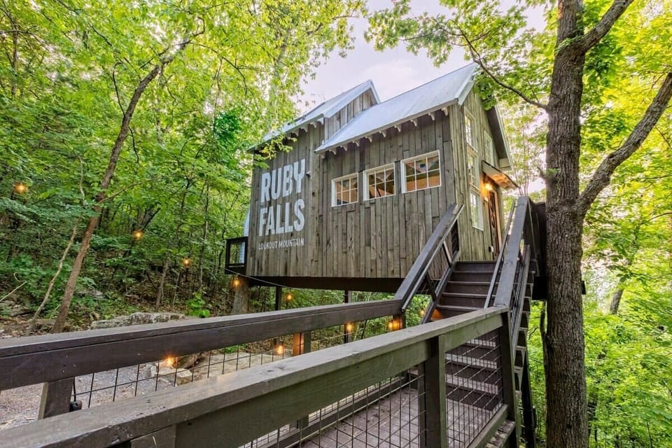 Welcome to Redbud Treehouse!
