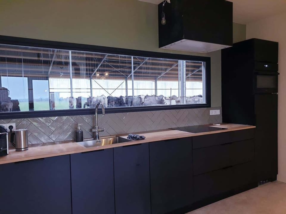 Cook with a view—right into the cowshed! This modern kitchen offers sleek design, full amenities, and a window onto real farm life. 