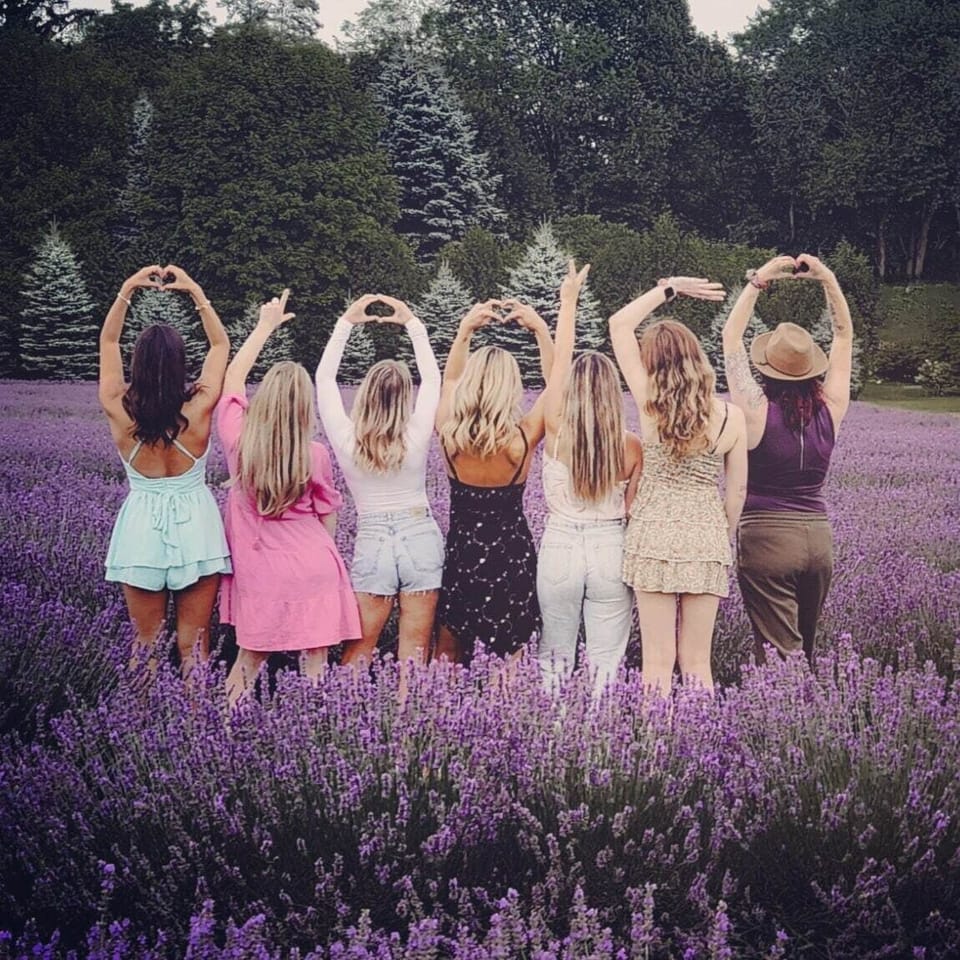 Have Fun in Lavender Season