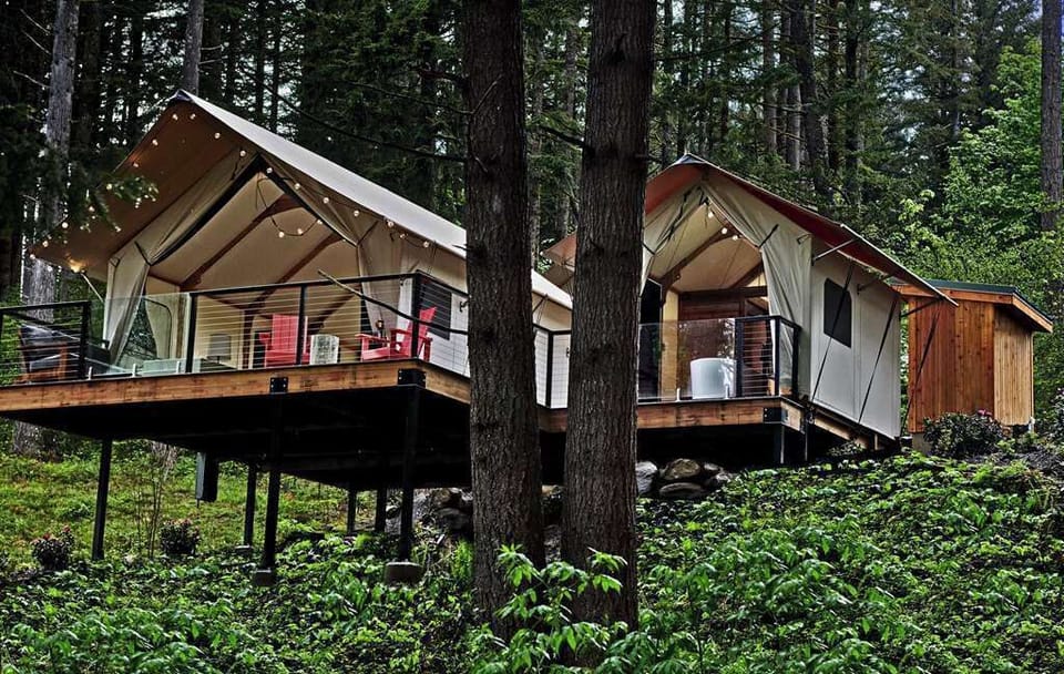 A tranquil glamping retreat nestled in the forest, offering a seamless blend of comfort and natural beauty.
