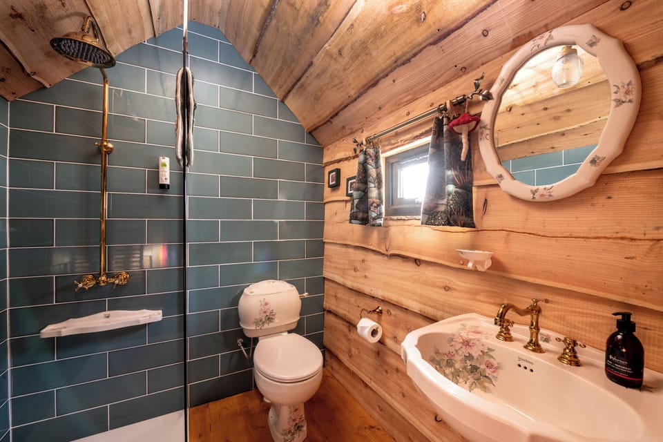 Luxury Cabin, 1 Bedroom (The Wee Fae Hideaway) | Bathroom | Shower, towels, soap, shampoo