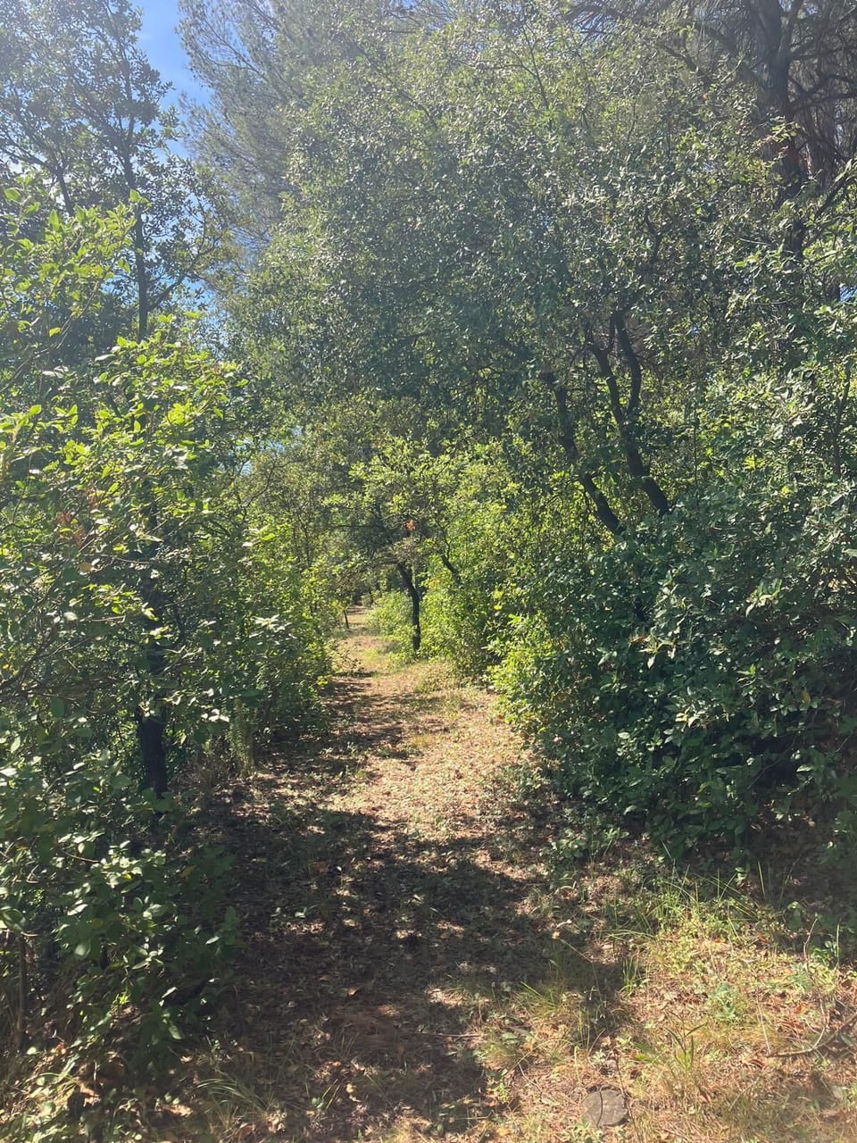 Miscellaneous