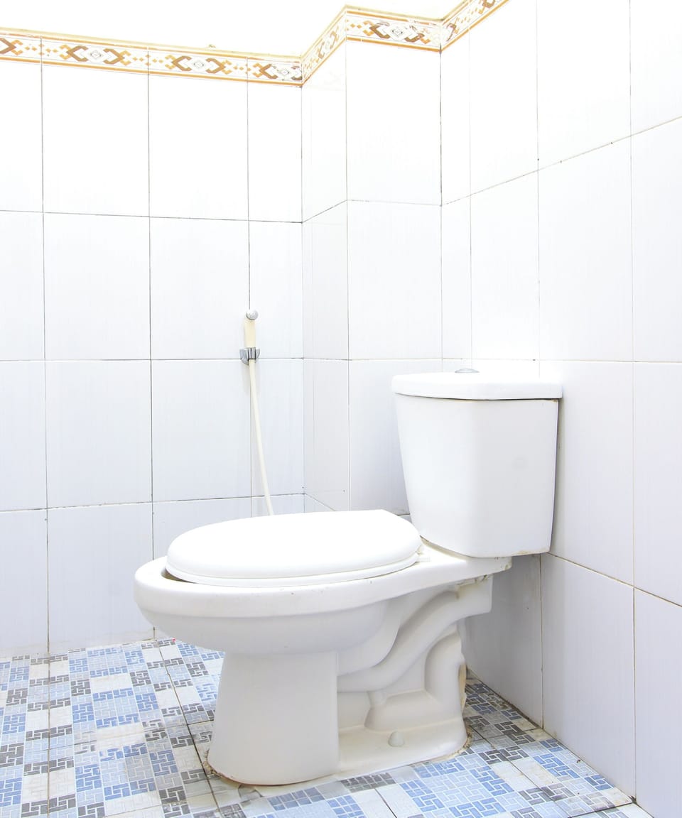 Deluxe Double Room | Bathroom | Shower, towels