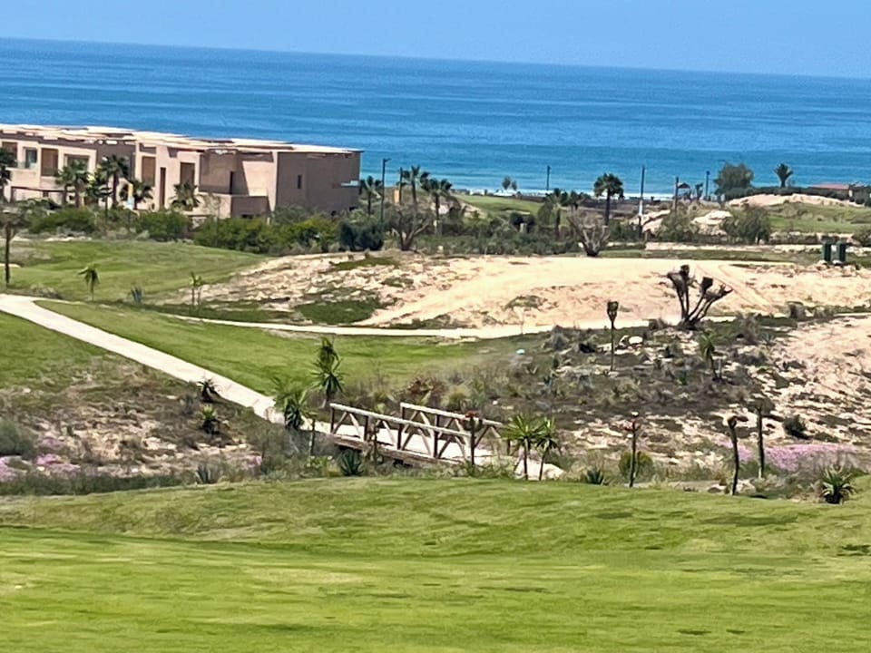 The view