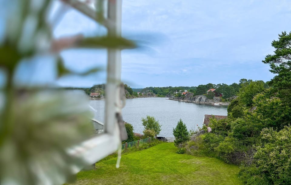 view-from-room