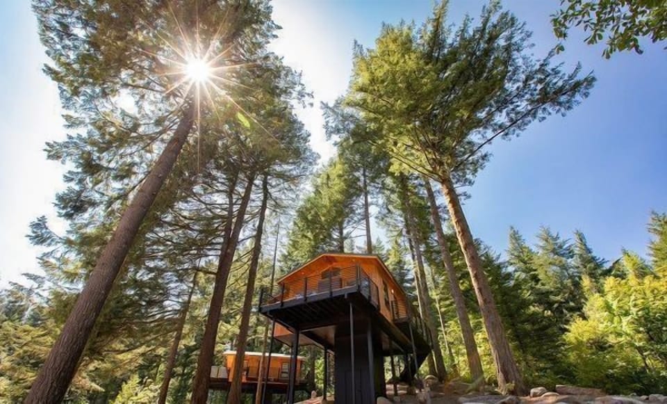 Retreat to a stunning treehouse hideaway, elevated among the forest canopy.