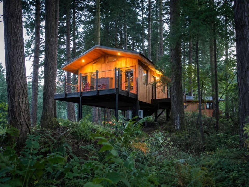 Experience tranquility in a magical treehouse, nestled among towering trees for a serene escape.