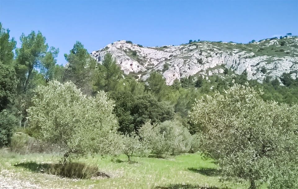 area