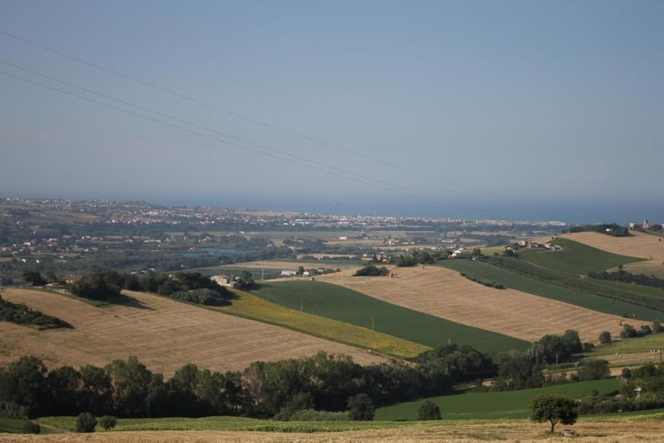 Region [summer] (>5 km)