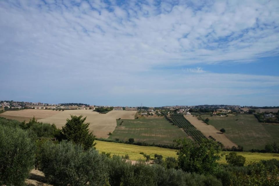 Region [summer] (>5 km)