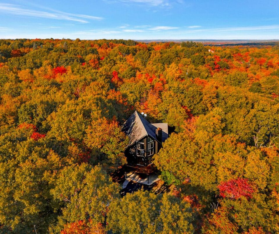 Surrounded by forestry