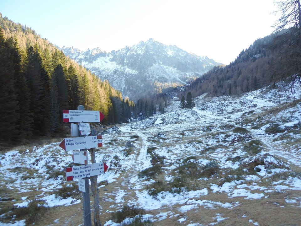 Activities, Autumn, Spring, Summer