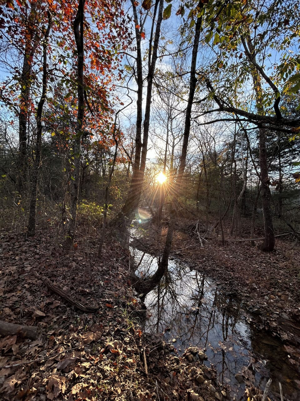Sunset over back creek