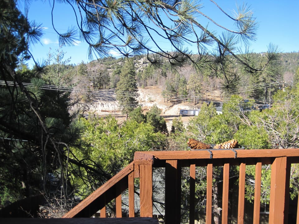 The view from room window