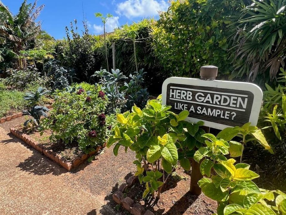 Pick some herbs for the right flavor for your BBQ